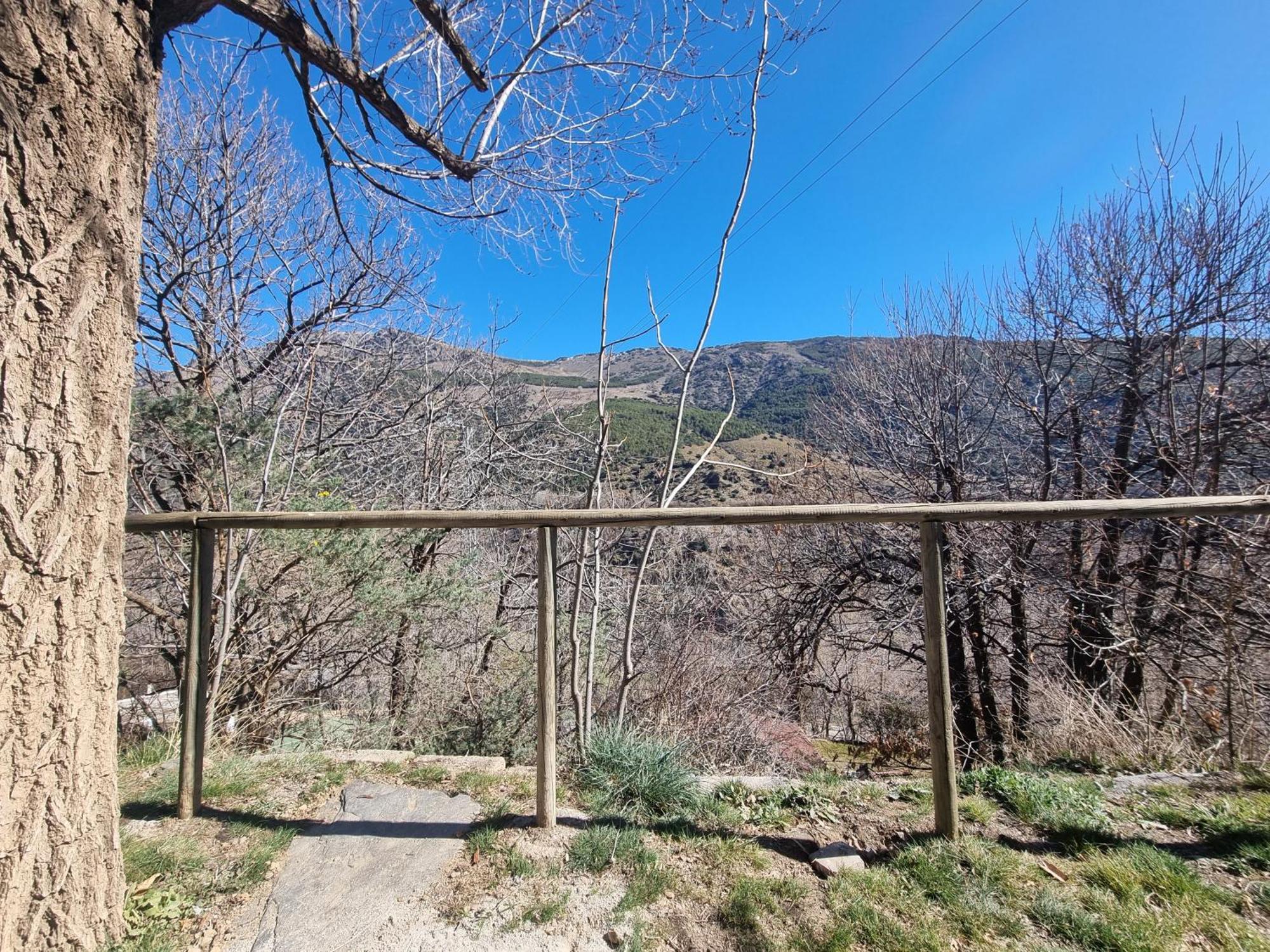 Camping Trevélez מראה חיצוני תמונה